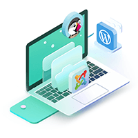 Install your CMS with only one click